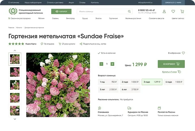 Готовые решения
